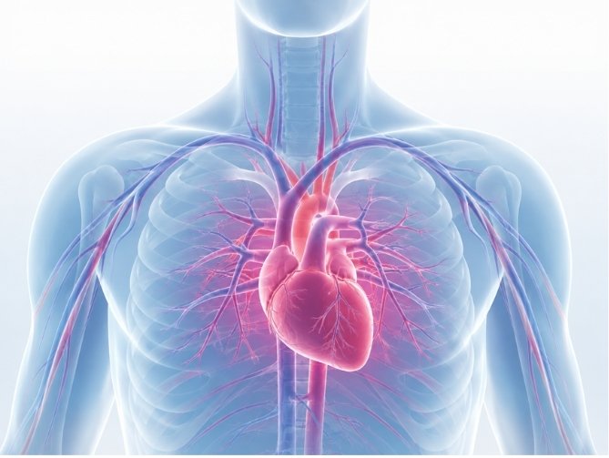 CARDIAC & HYPERTENSION CARE